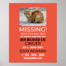 Sök efter saknad dig posters För alla