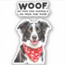 Sök efter collie klistermärken Hund
