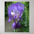 Sök efter iris posters Blommor