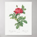 Sök efter floral Rose
