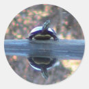 Sök efter reflections klistermärken Natur