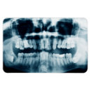 Sök efter teeth magneter Tandvård