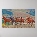 Sök efter mustang posters Hingst
