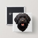 Sök efter labradoodle accessoarer Svart