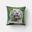 Sök efter white tiger fotografi Natur