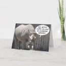 Sök efter noshörningar kort Rhinos