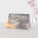 Sök efter patient kort Hoppas