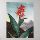 Sök efter robert posters Blommor
