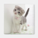 Sök efter halsband magneter Djur