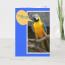 Sök efter parrot kort Blå