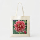 Sök efter dahliaen dahlias Blomma