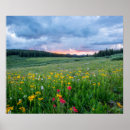 Sök efter skuggar posters Natur