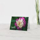 Sök efter fuchsia fotografi Peony