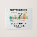 Sök efter fotosyntes Kemi