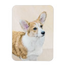 Sök efter welsh magneter Corgi
