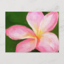 Sök efter rosa plumeria vykort Natur