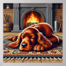 Sök efter irländsk setter posters För alla