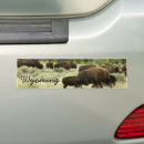 Sök efter bison bildekaler Vilda djur