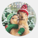 Sök efter jul skämt klistermärken Konstig