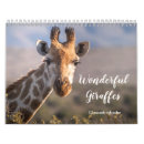 Sök efter nacke fotografi Giraff