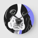 Sök efter hund för springerspaniel Hundar