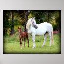 Sök efter formulerar posters Equine