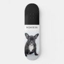 Sök efter spela skateboards Djur