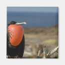 Sök efter galapagos magneter Nationalpark