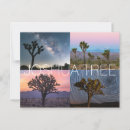 Sök efter tree kort Joshua tree nationalpark
