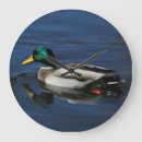 Sök efter gräsand konst Waterfowl