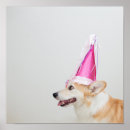 Sök efter walesisk Corgi