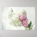 Sök efter vanlig hortensia posters Rosor