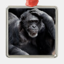 Sök efter gorilla julgransprydnader Djur