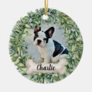 Sök efter hund julgransprydnader For pets