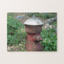 Sök efter hydrant Fotografi