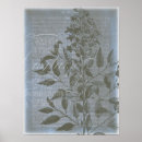 Sök efter silhueta posters Botaniska