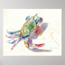 Sök efter krabbor posters Hav