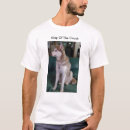 Sök efter husky fotografi Djur