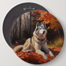 Sök efter husky knappar Husdjur