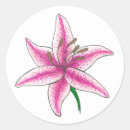 Sök efter lillies klistermärken Liljor