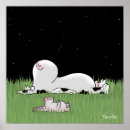 Sök efter meteor Skjutstjärna