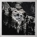 Sök efter svartvitt landskap posters Skog