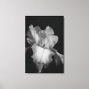 Sök efter iris canvastryck Blommig