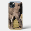 Sök efter elefant ipad skal Safari