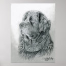 Sök efter drawing posters Dog