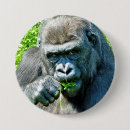 Sök efter gorilla knappar Konstig