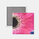Sök efter blommagnet Natur