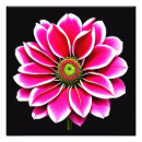 Sök efter vibrerande blomma konst Rosa