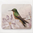 Sök efter gnola Hummingbird