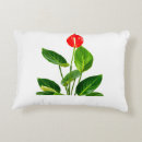 Sök efter anthurium Växla